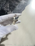 pina brooch