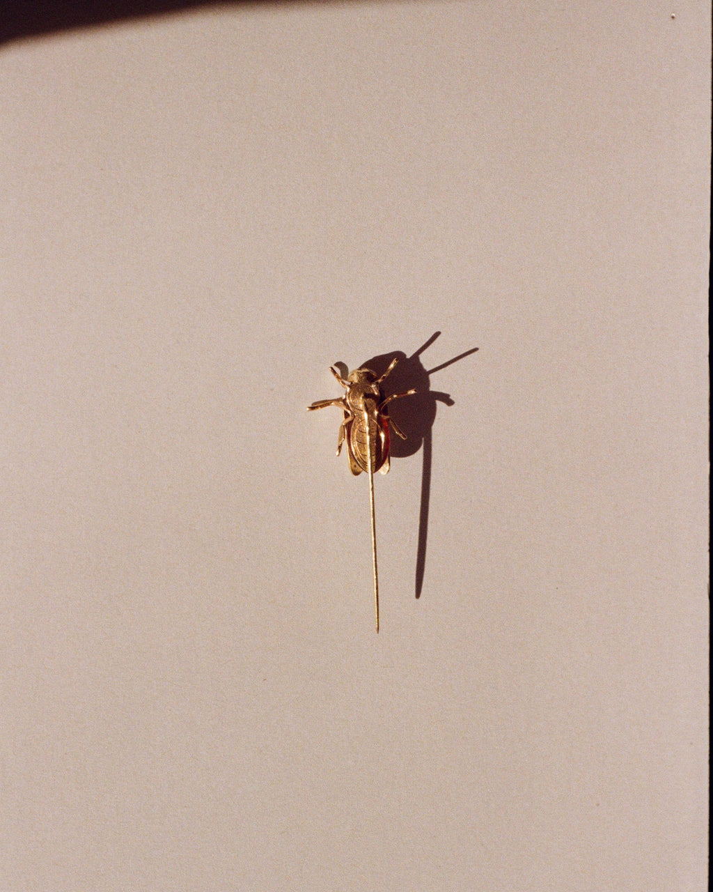 golden bug pin
